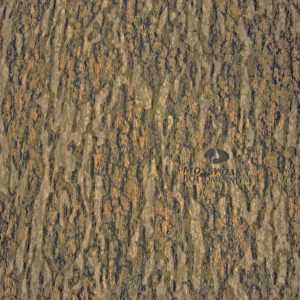 12 - Mossy Oak Bottomland™ Seat Cover Photo Gallery